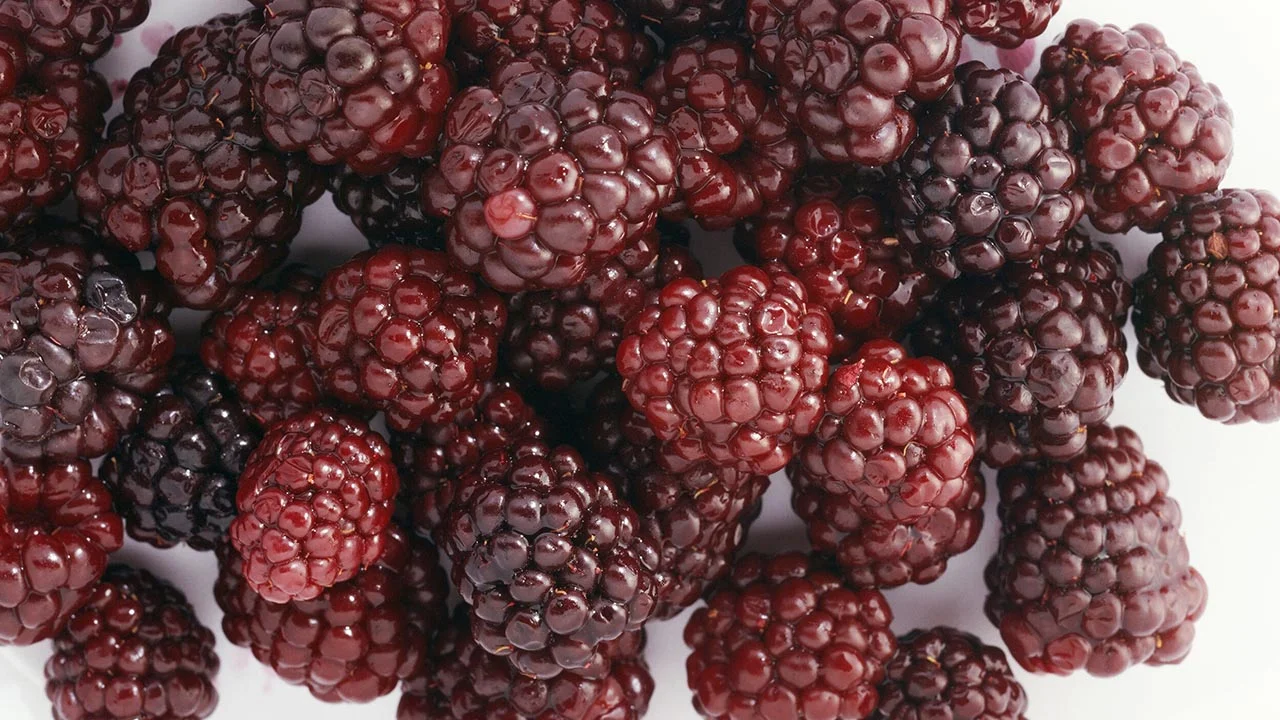 Black raspberries - a new superfood on the horizon