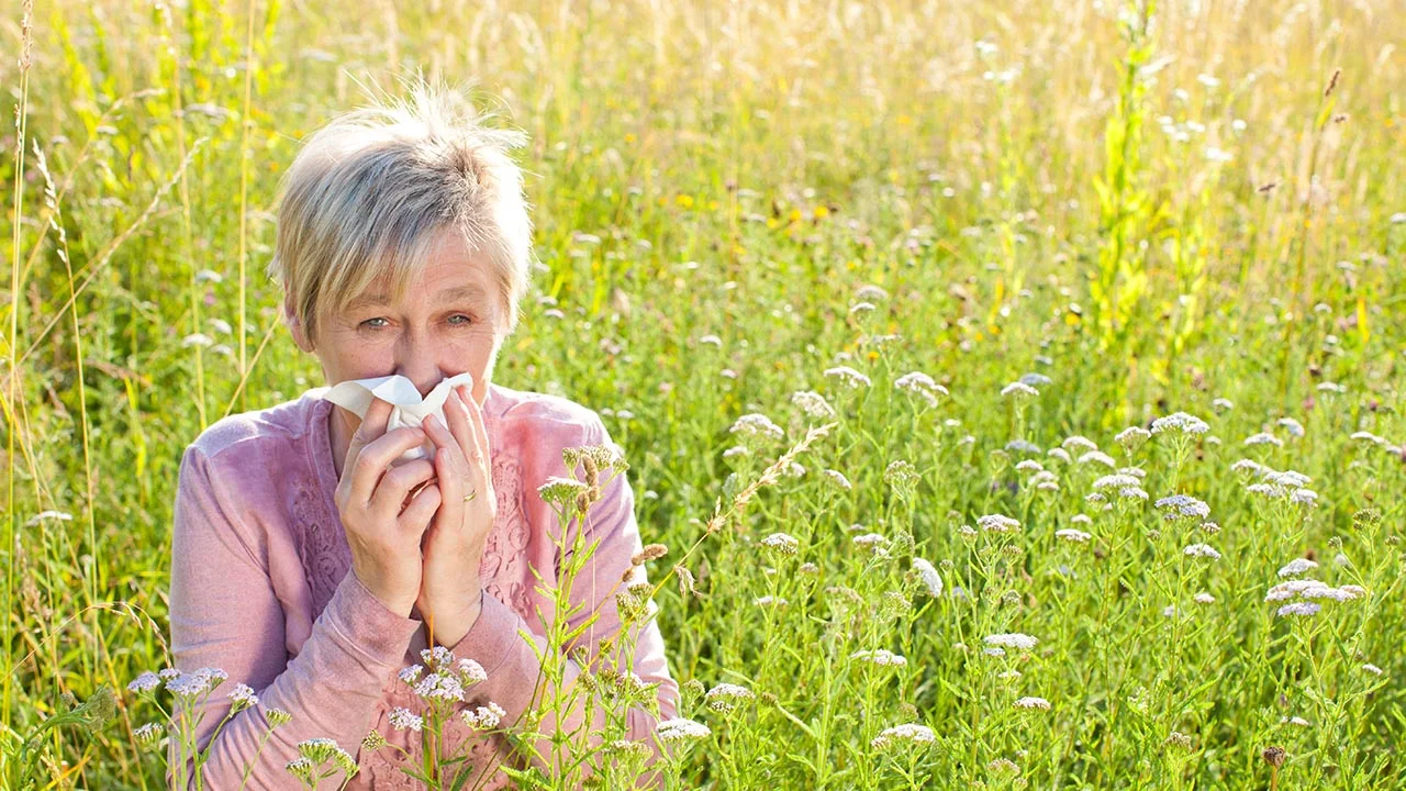 Allergy-fighting food to combat seasonal allergies