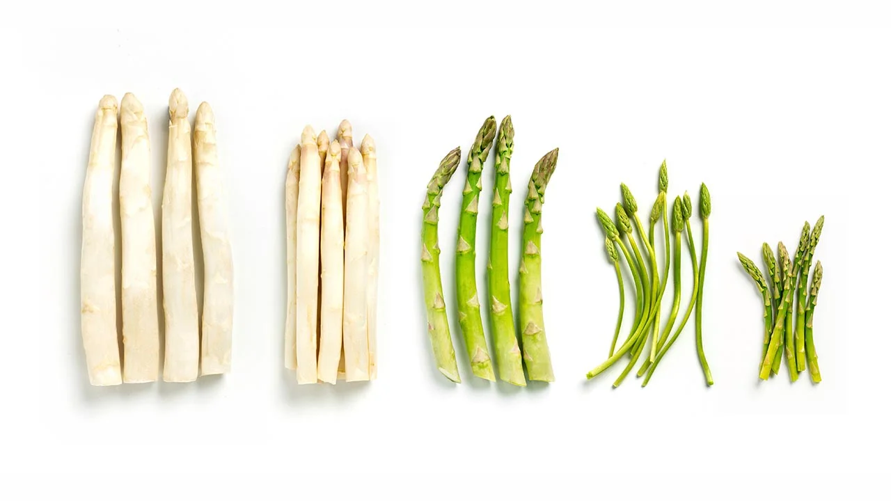 Asparagus – the king of vegetables