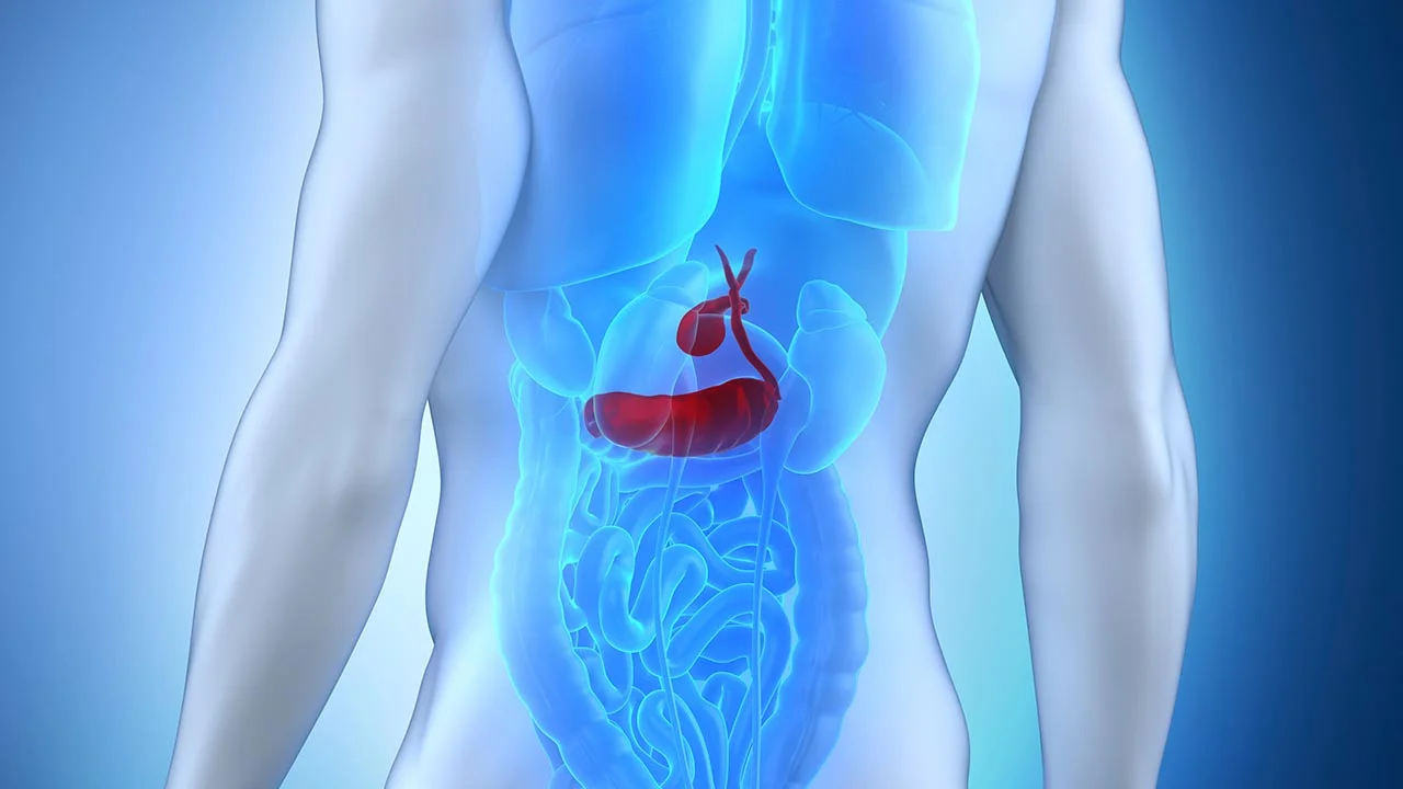 Causes & Symptoms of Pancreatitis