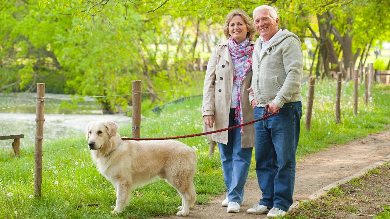 Walking the dog – a healthy habit for older adults