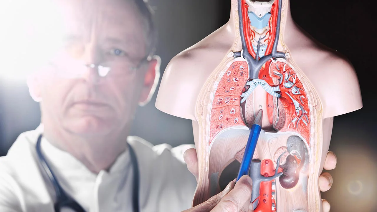 Study finds the surprising real cause of GERD