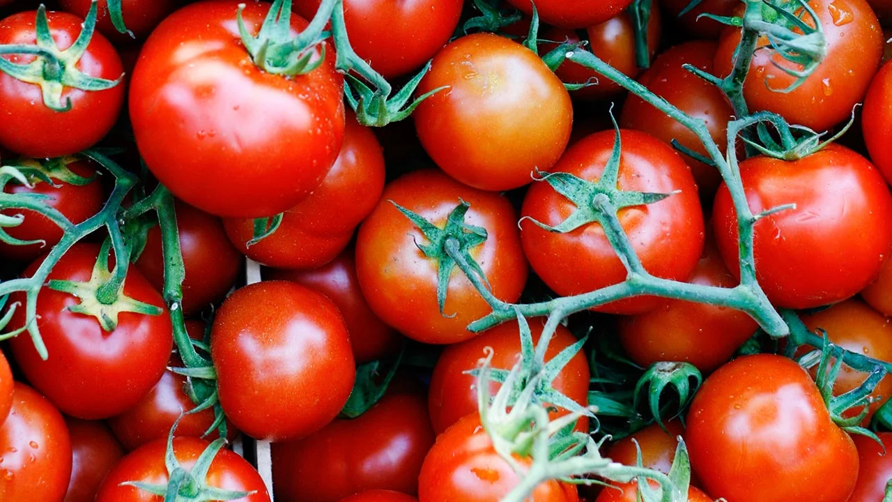 Tomatoes: Super-Soldiers in the Fight Against Prostate Cancer 