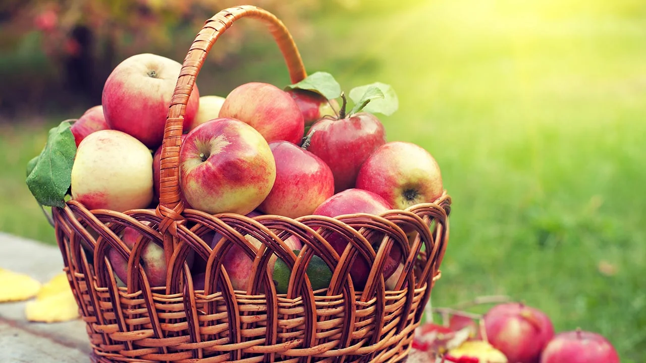 Food you should eat almost every day