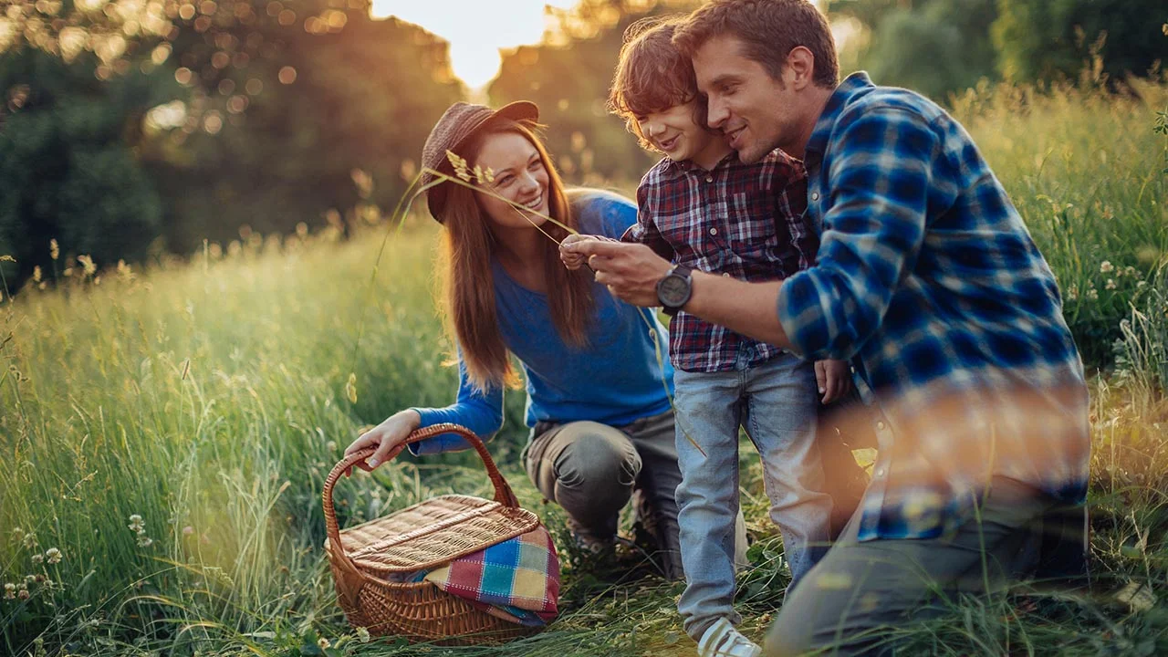 Simple ways to prevent picnic poisoning