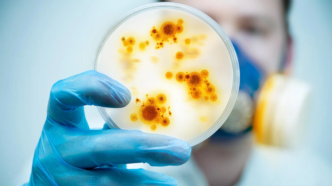 Risk of staph infections raised by steroid use