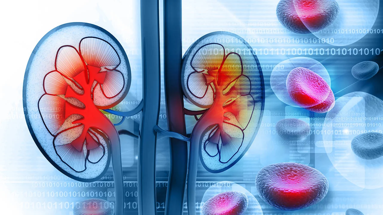 Blood In Urine - Should You Worry? 