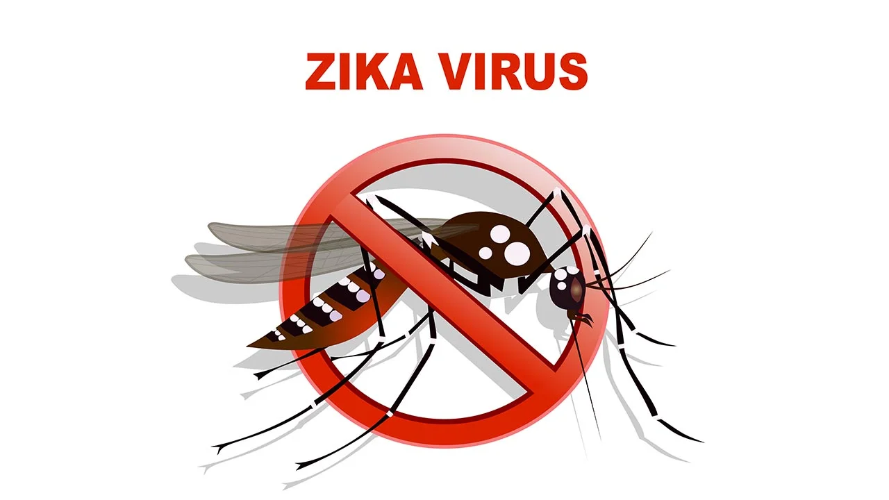 Stop the spread of Zika virus