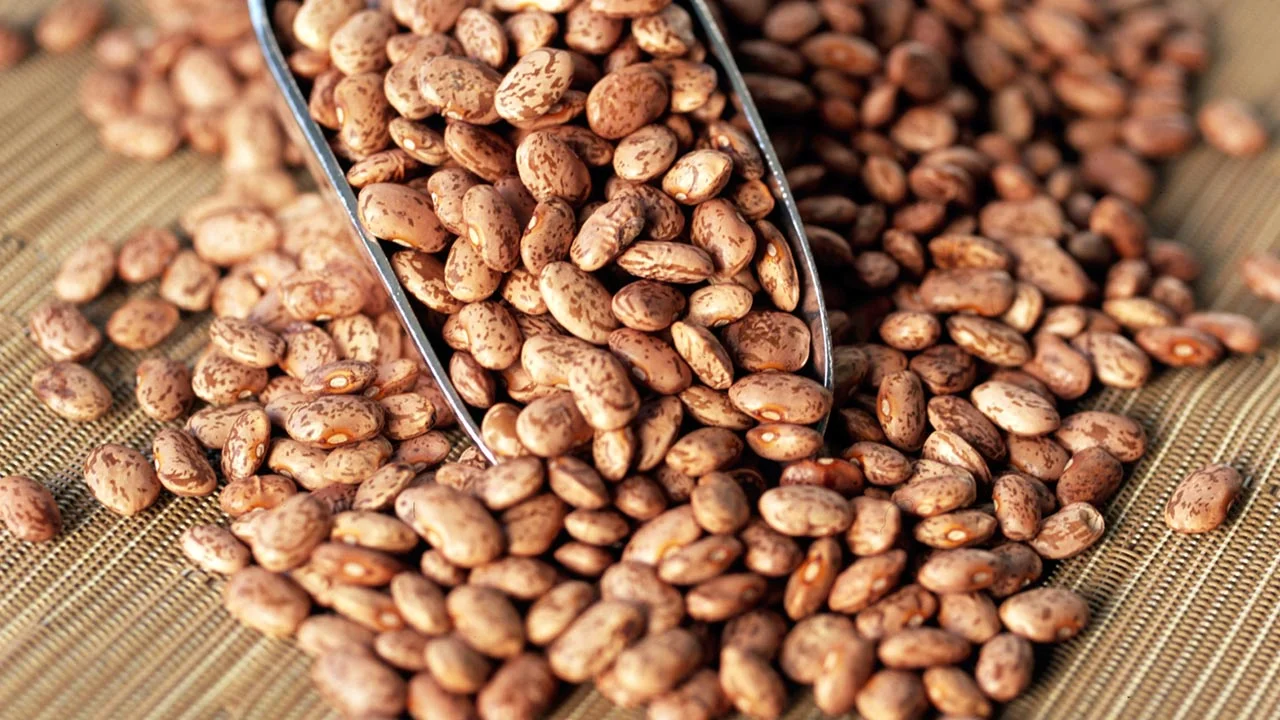 Pinto beans – practically perfect