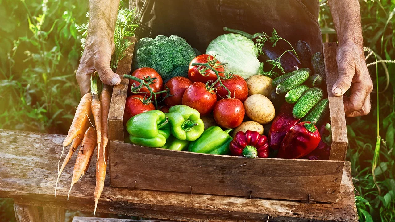 Best diets to prevent prostate cancer