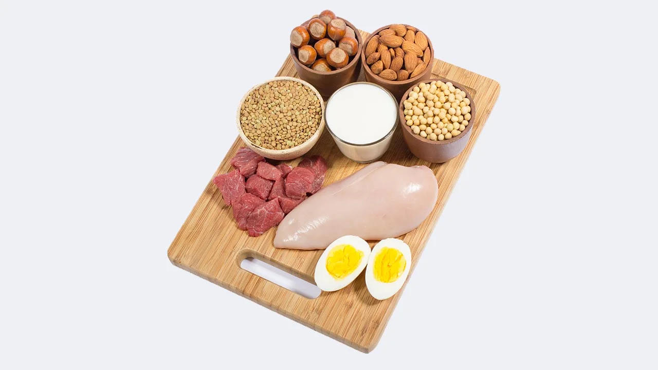 Animal vs Plant Proteins