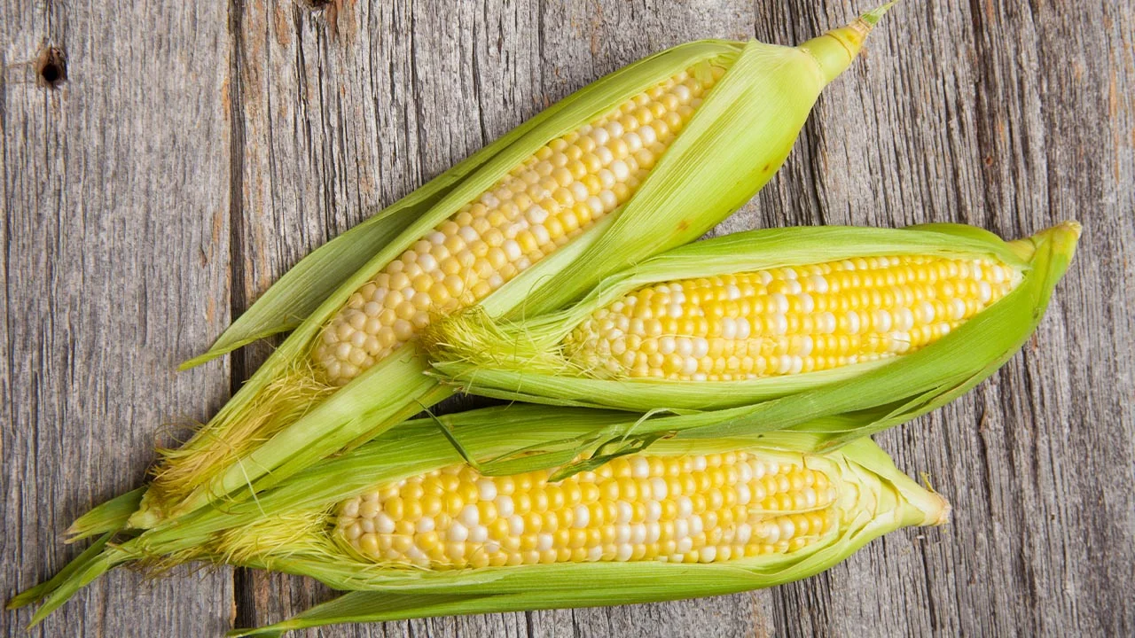 Amazing Corn