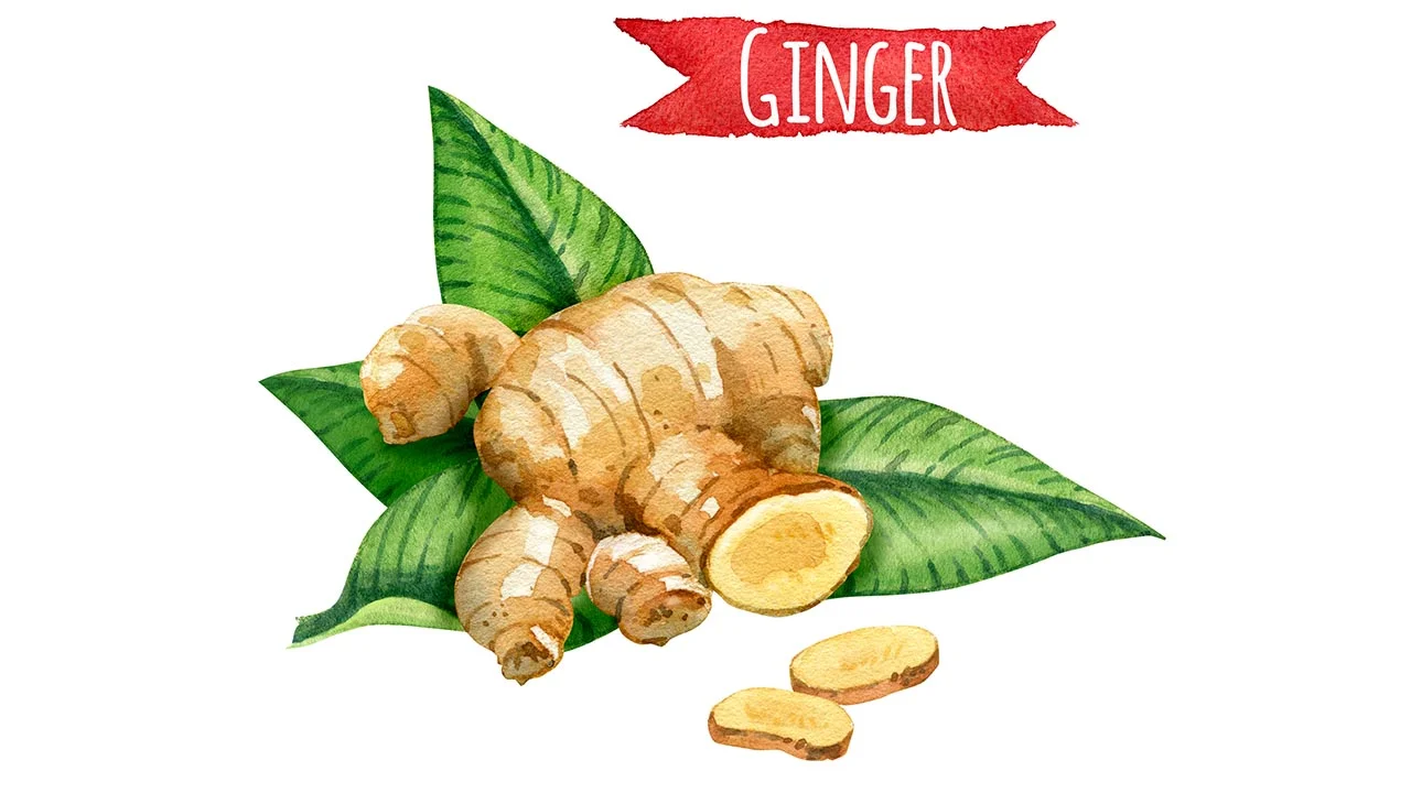 Ginger Kills Prostate Cancer