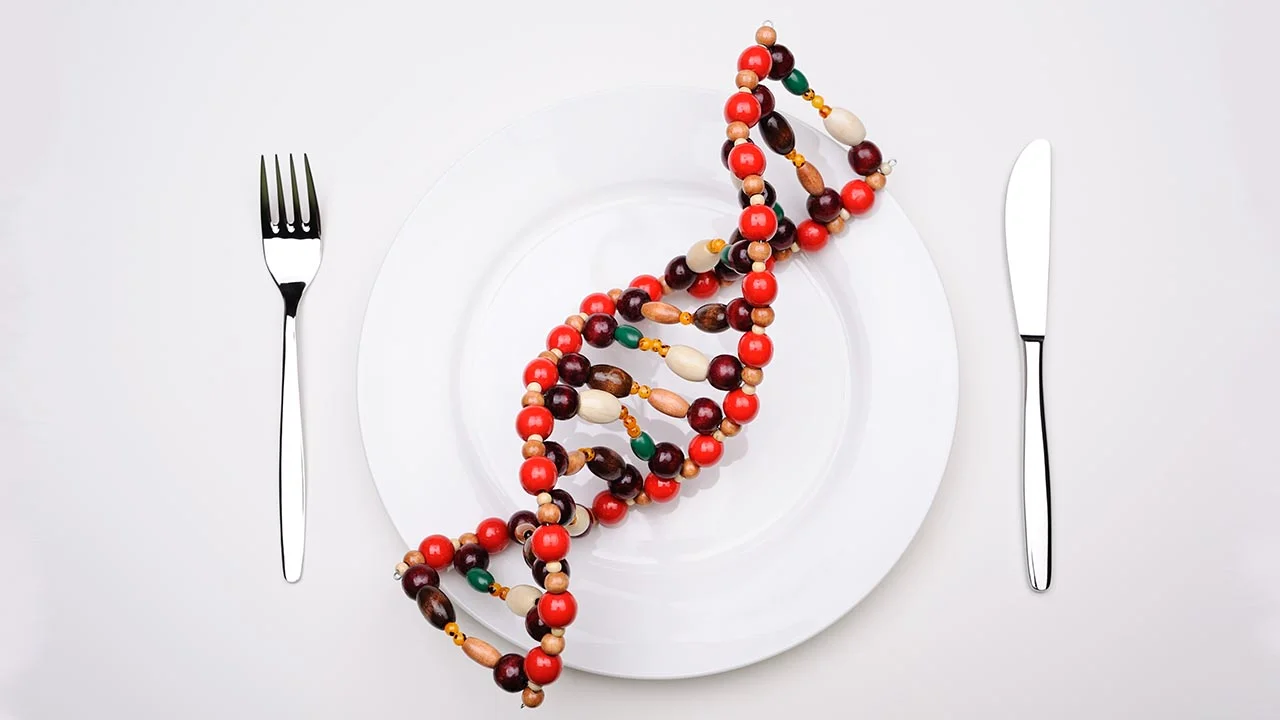 Nutritional Geometry