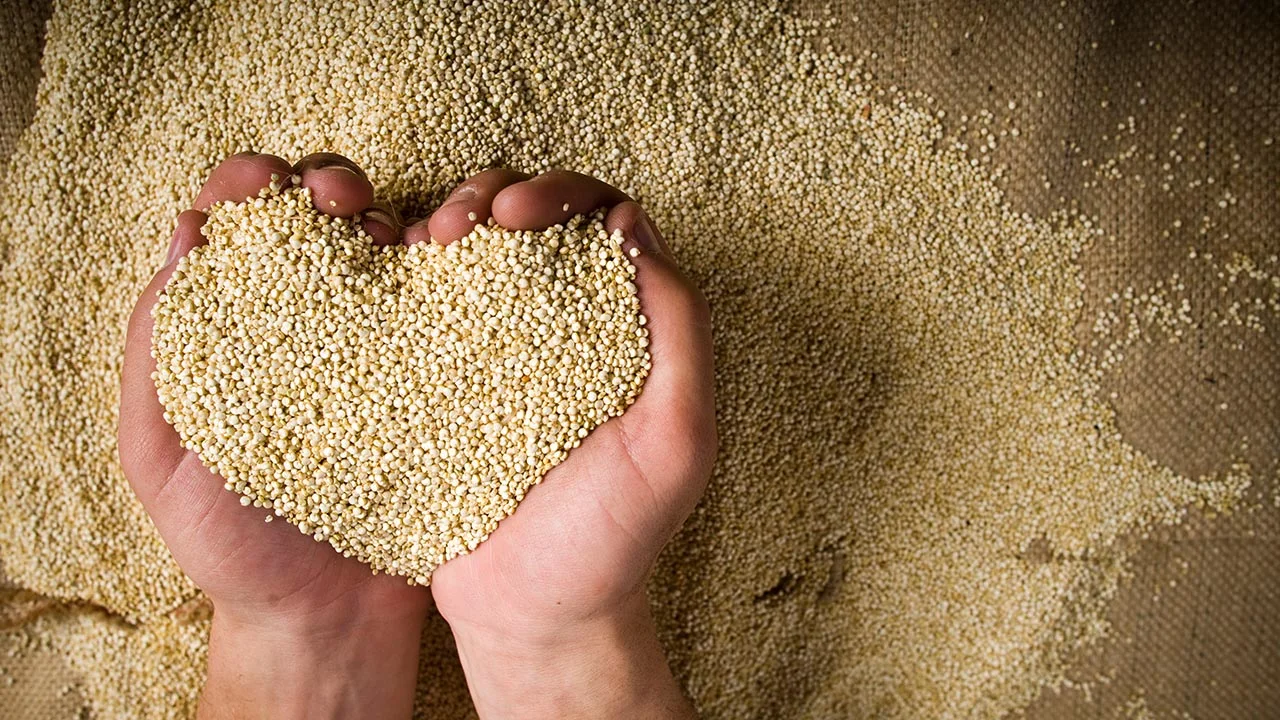 Quinoa - The Super Food Grain That's Not a Grain