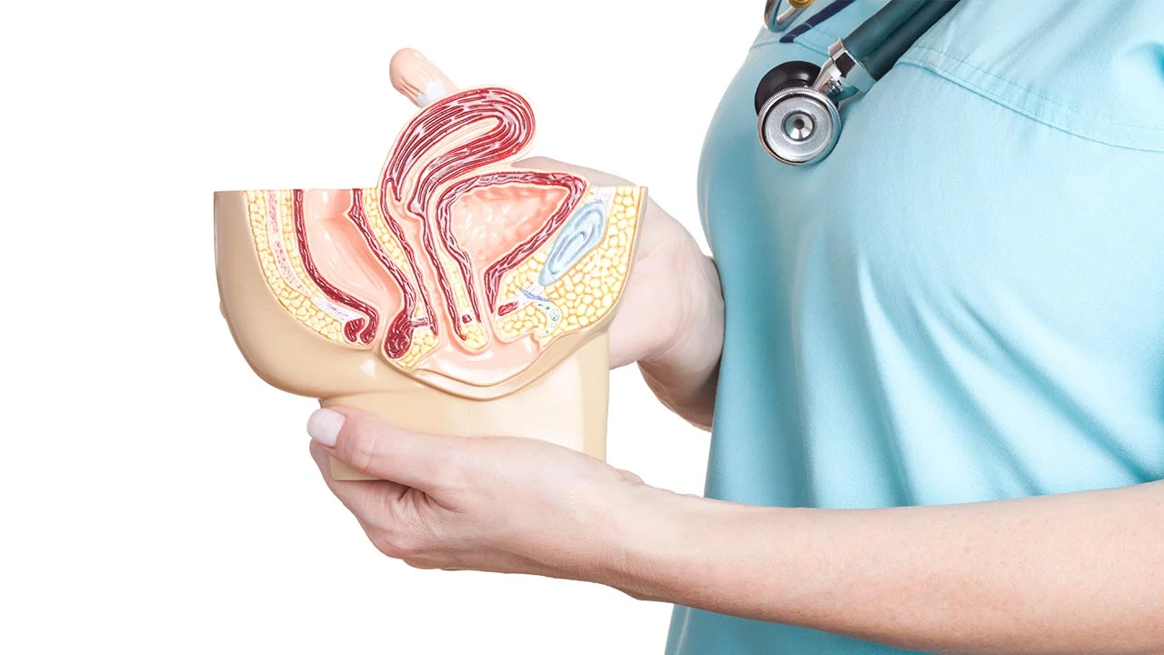 What Is A Cystoscopy