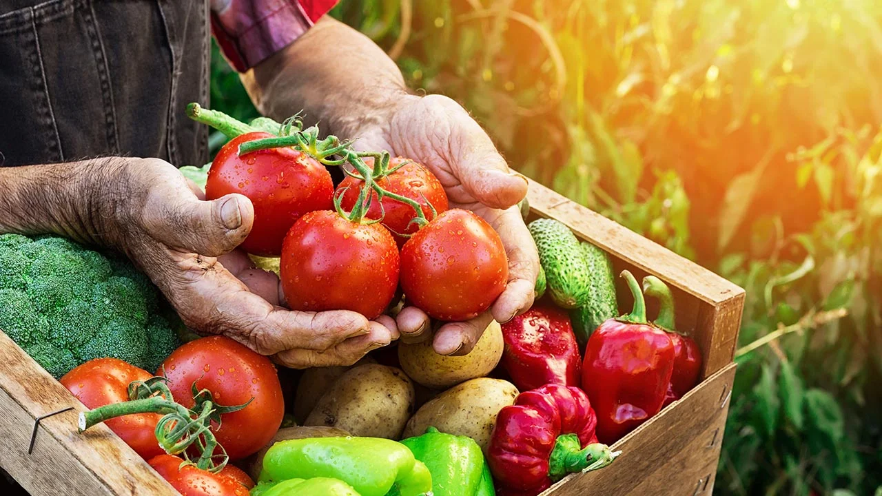 Nutrition’s Role in Preventing Prostate Cancer