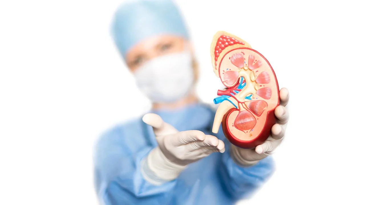 Kidney disease may be avoided with DASH diet