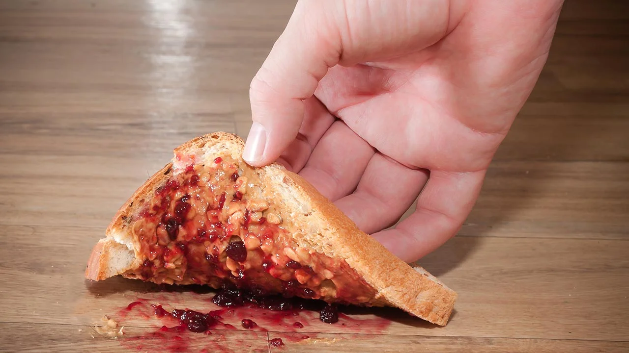 Dropped Food's 5-Second Rule