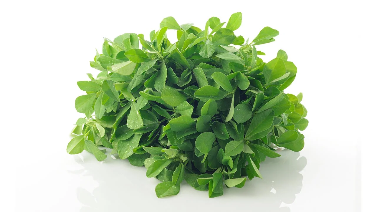 What Is Fenugreek