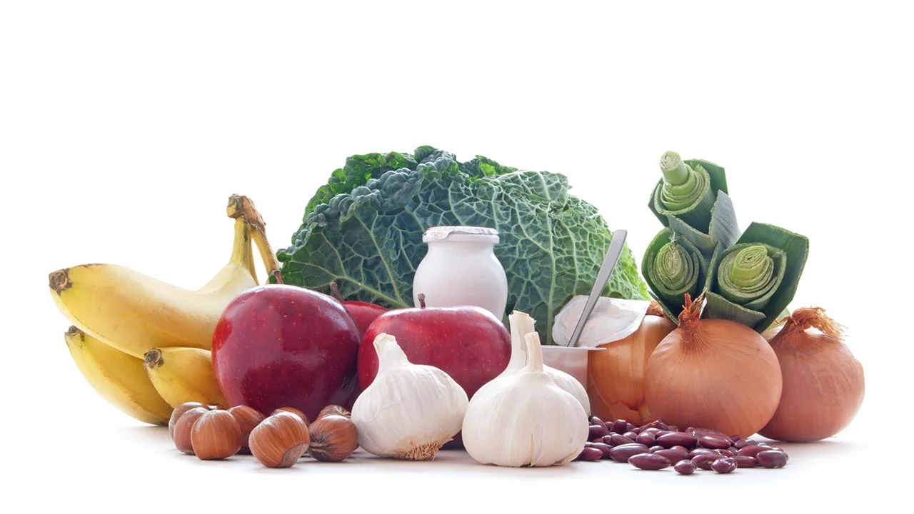 Good Bacteria In Your Gut
