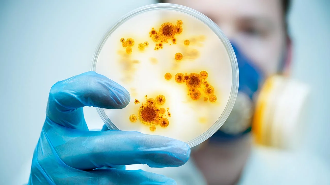Cancer & Magnetic Bacteria