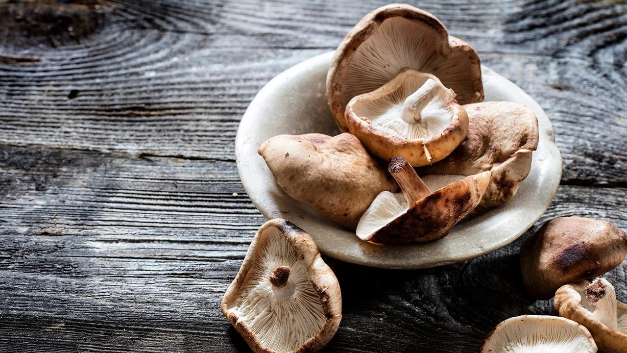 Benefits of Shiitake Mushrooms