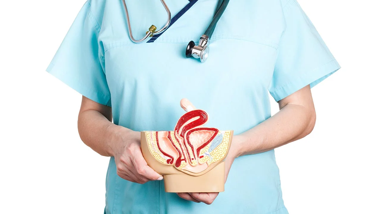How To Build A Better Bladder