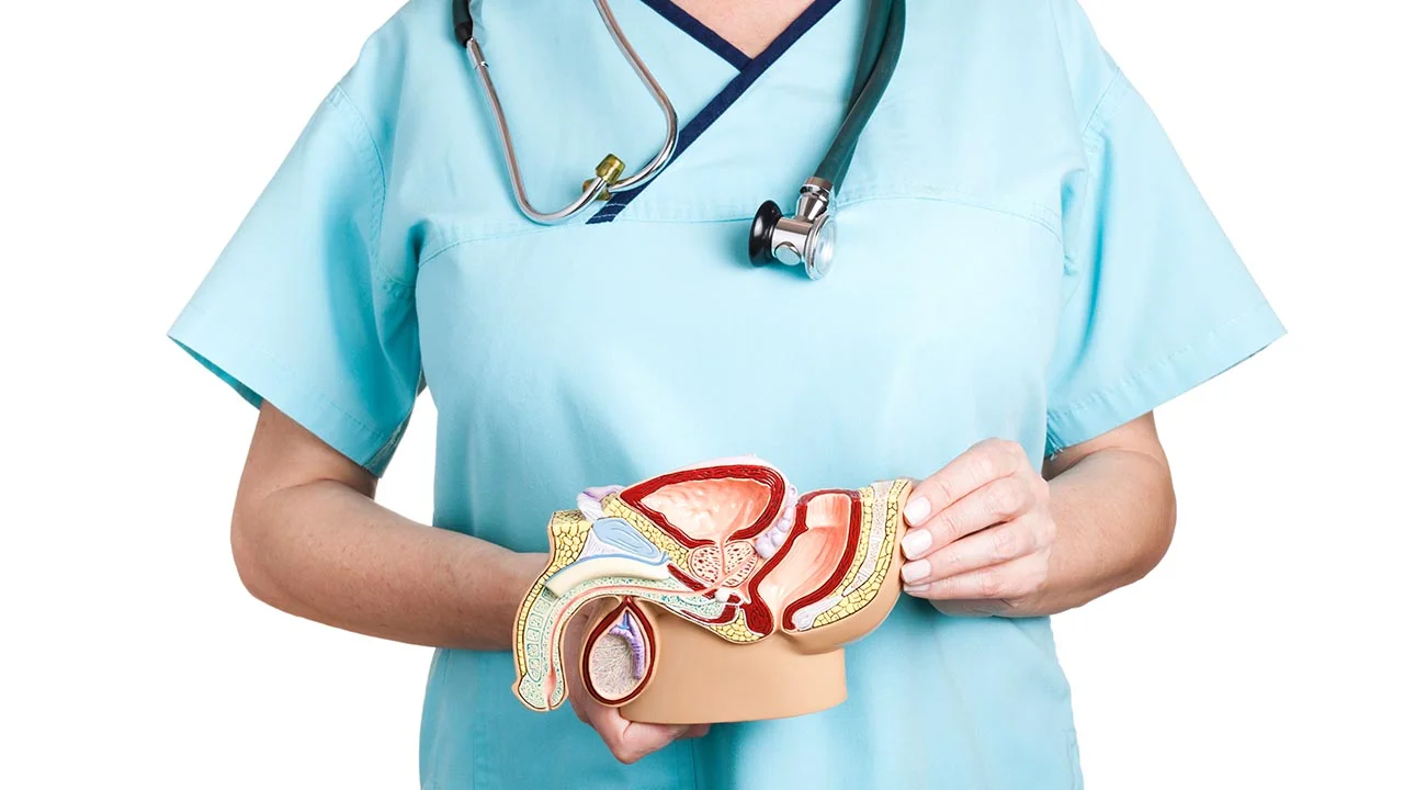 What Is Paraphimosis