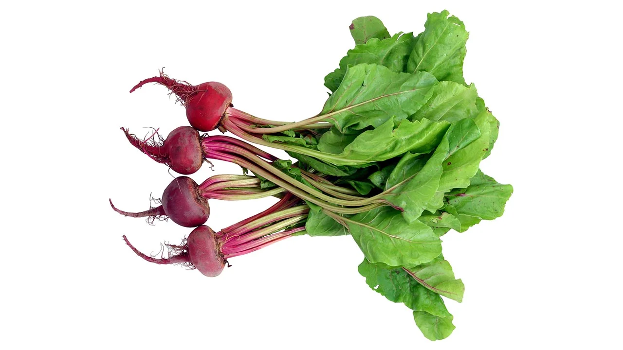 Health Benefits Of Beets