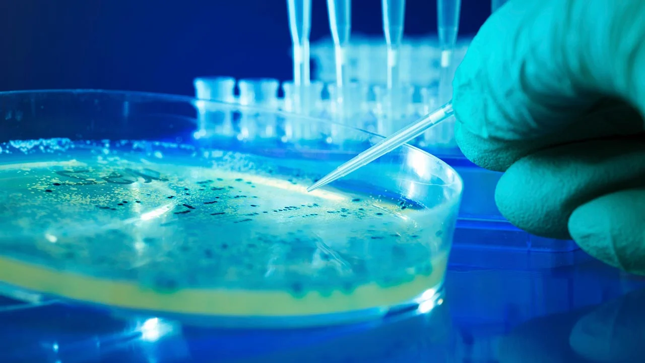 Salmonella & Prostate Cancer