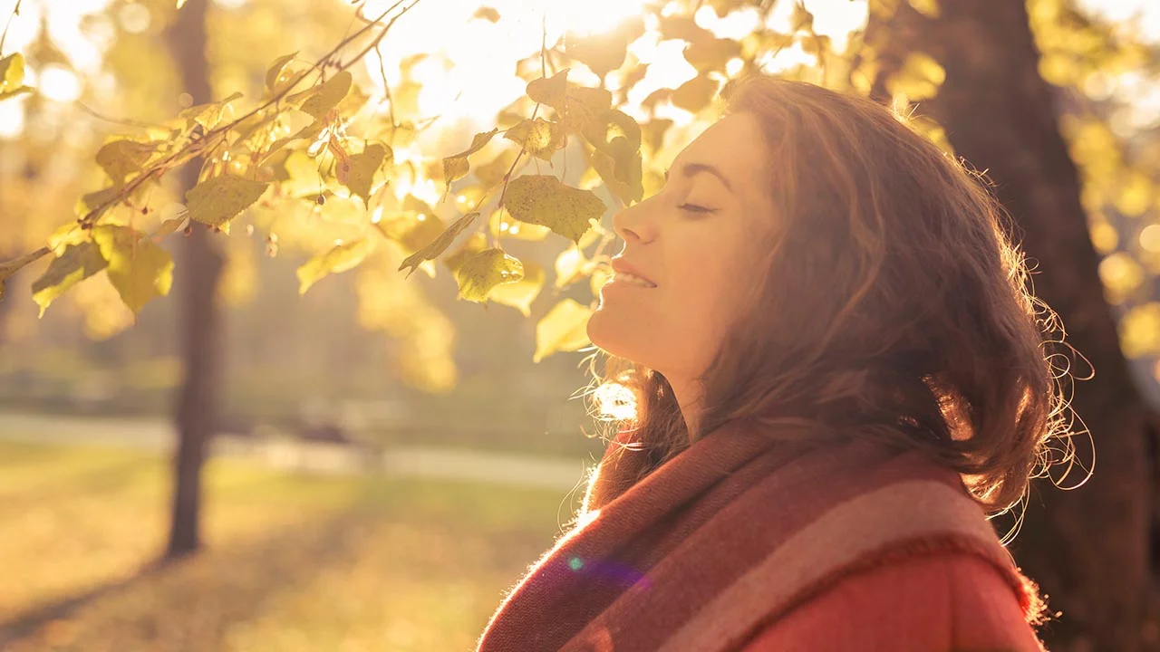 Sunshine & Mental Health