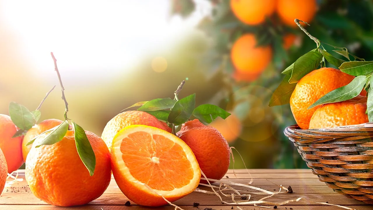 Eat Oranges This Winter