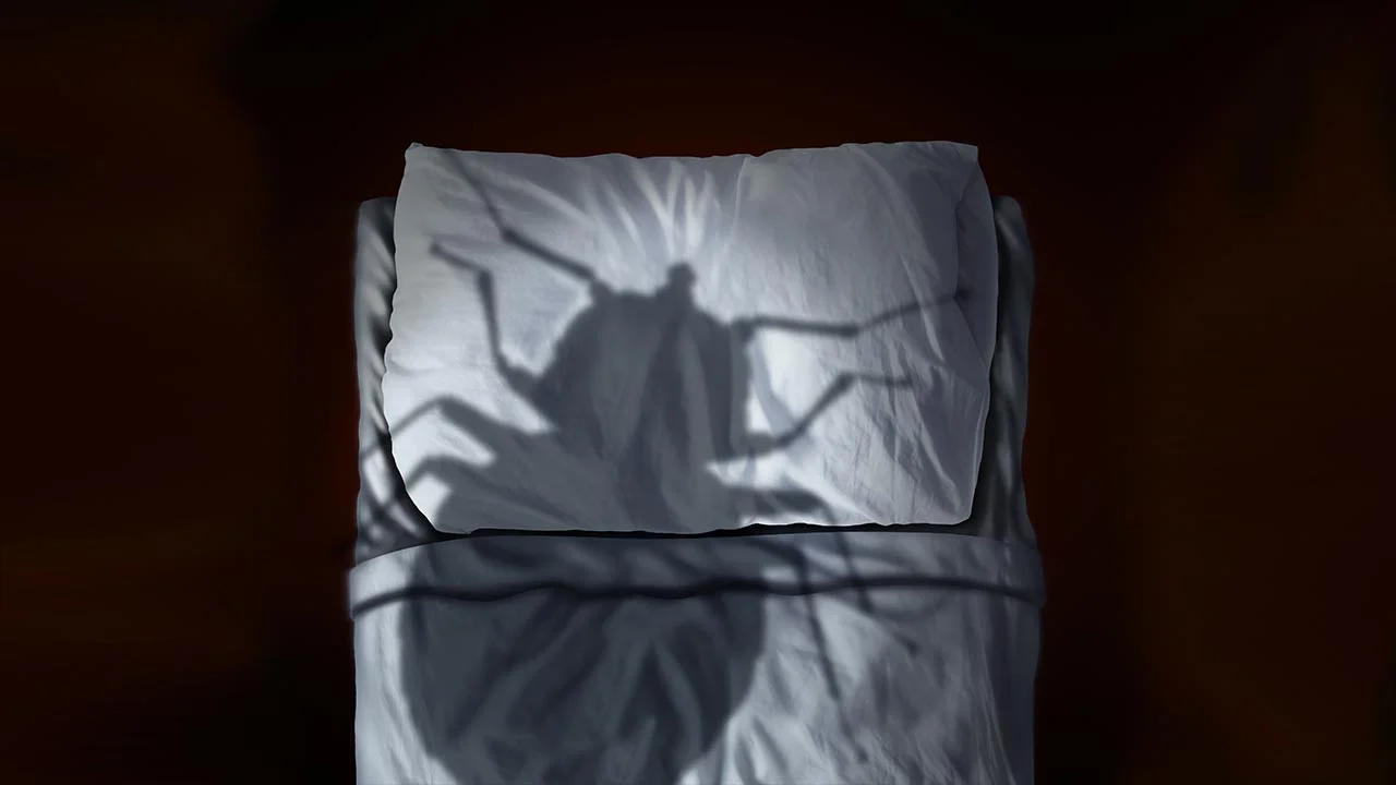 Are Bed Bugs Sharing Your Bed With You
