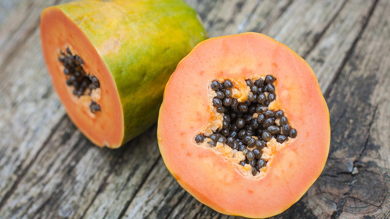 Papaya's Pure Pleasure