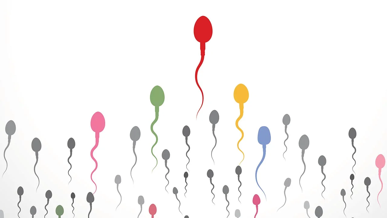 Enhancing the health of your sperm