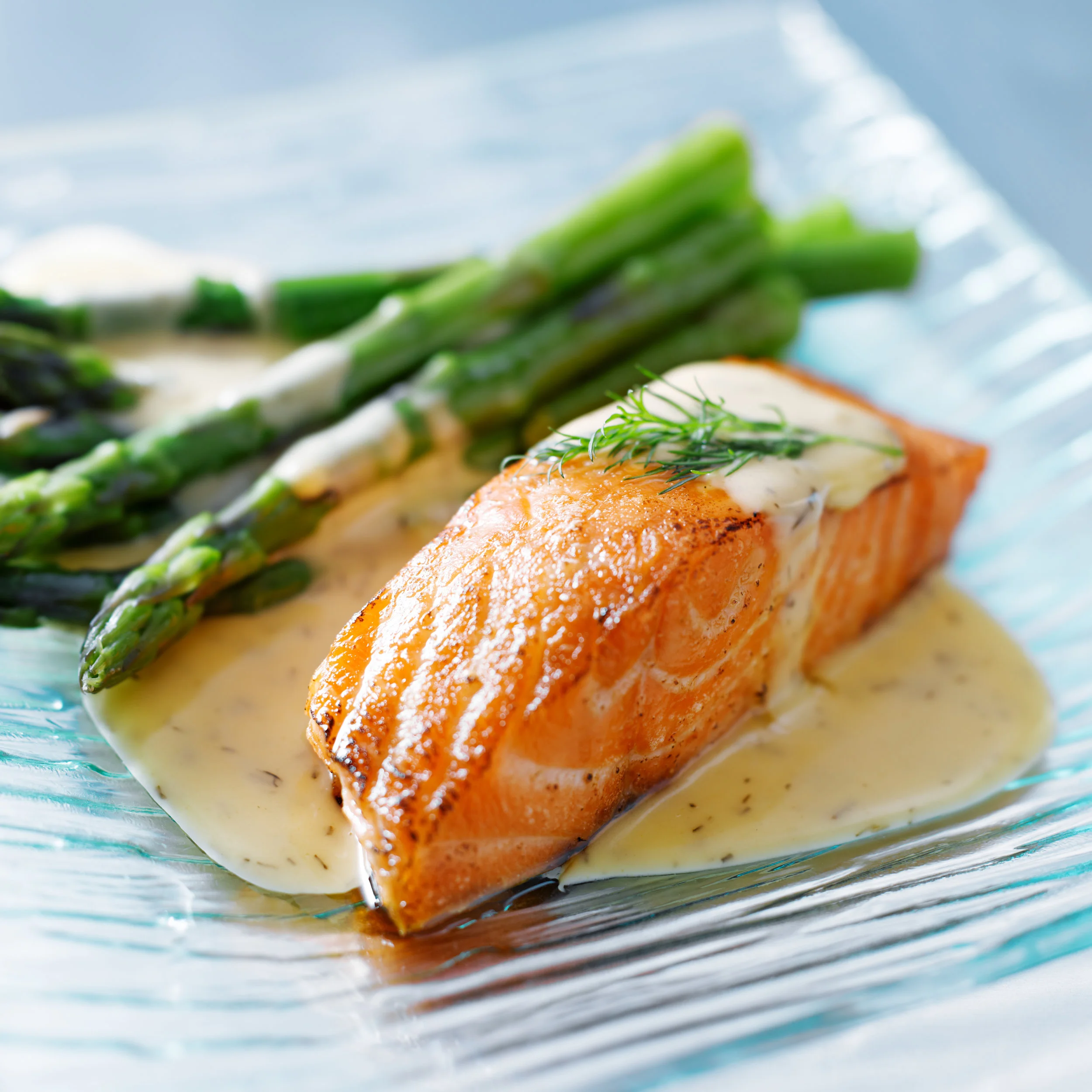 Salmon – a superior seafood