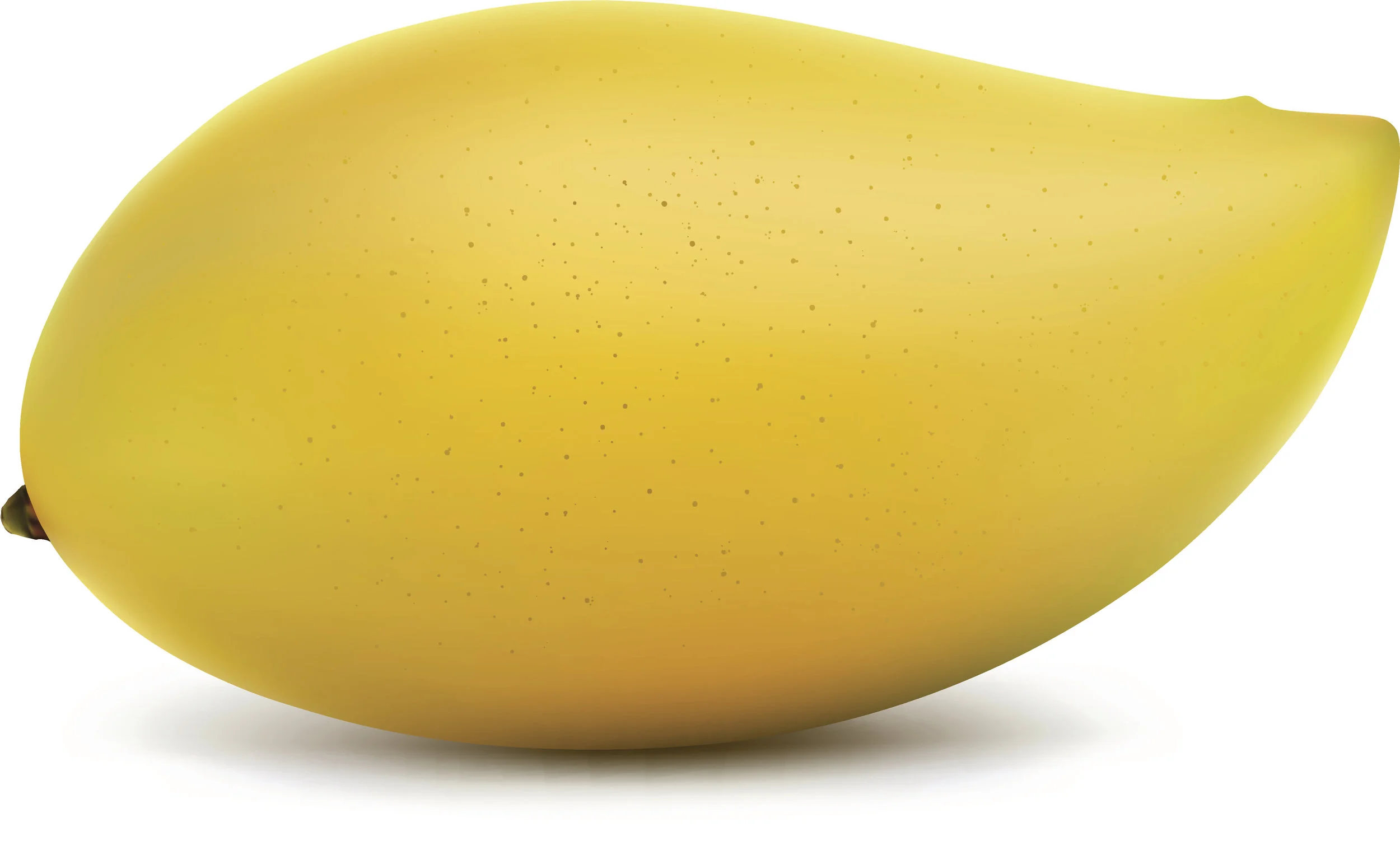 The magic of mangos