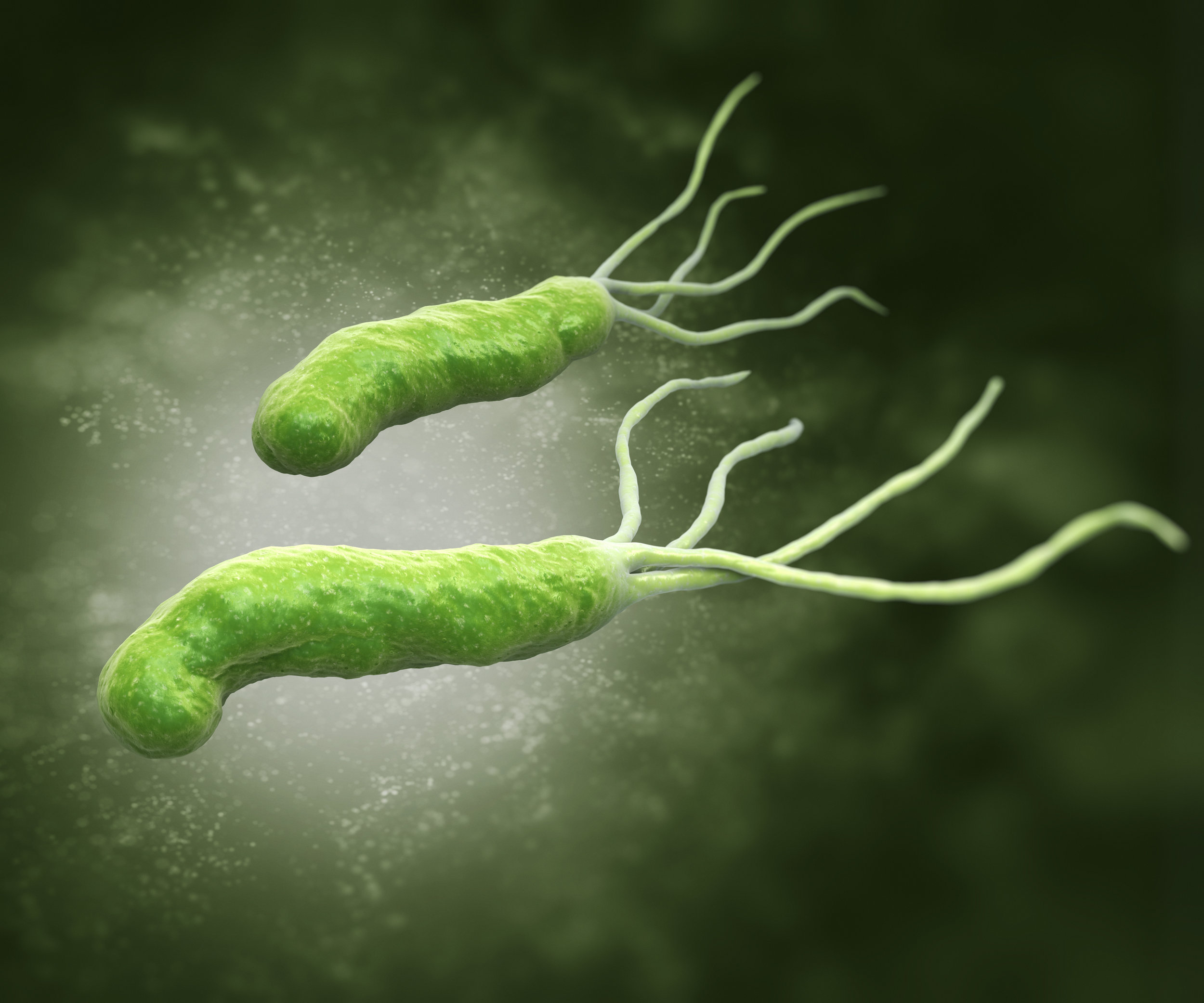 Uncovering and understanding ulcers 