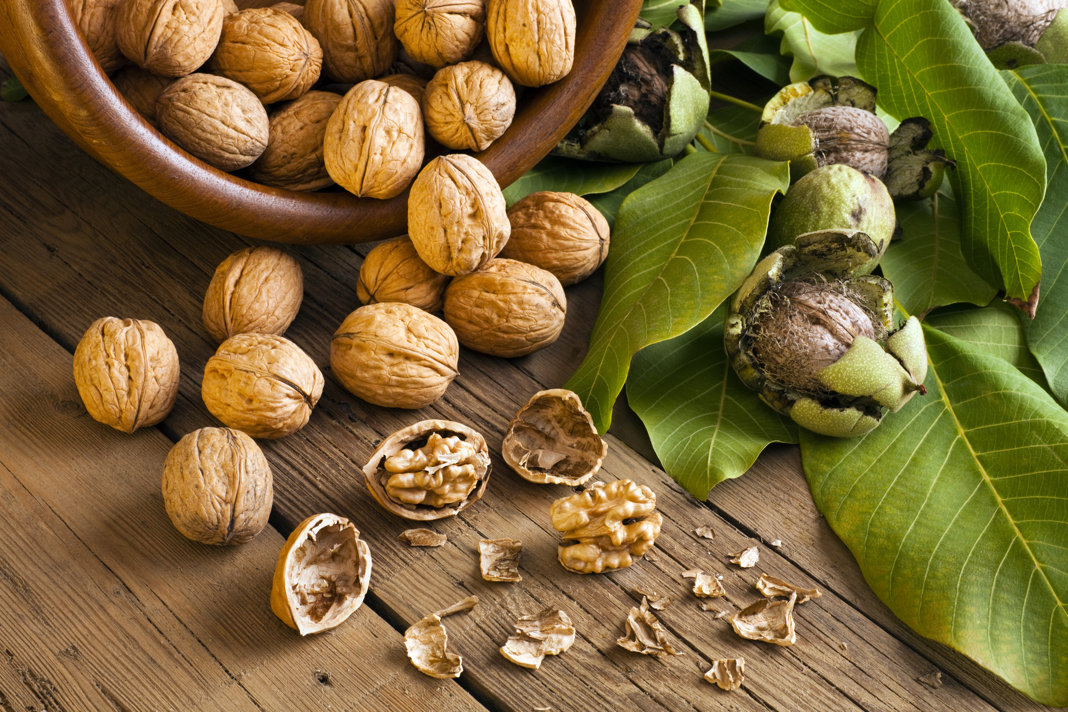 Walnuts Good for Your Sperm