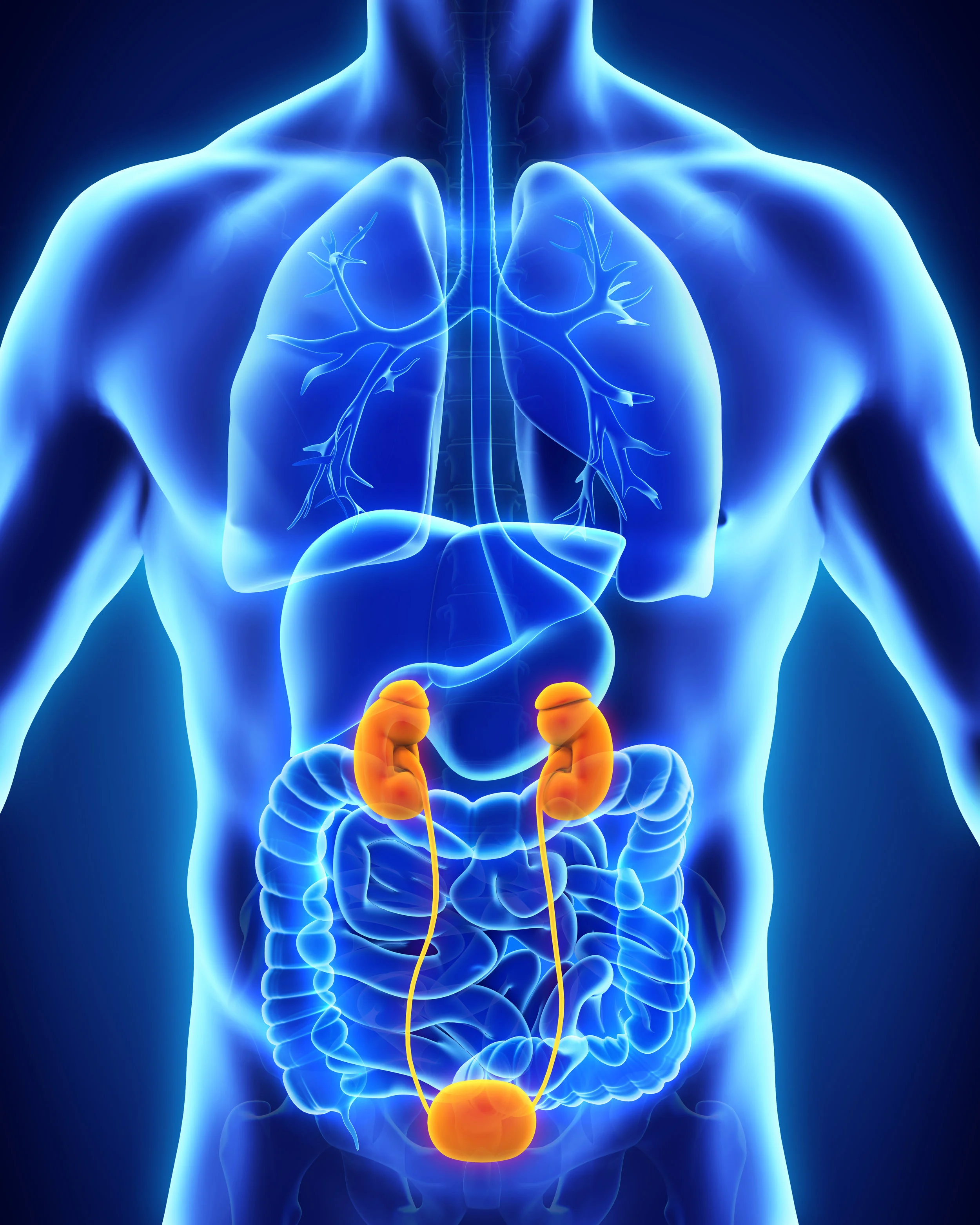 Men more at risk for bladder cancer