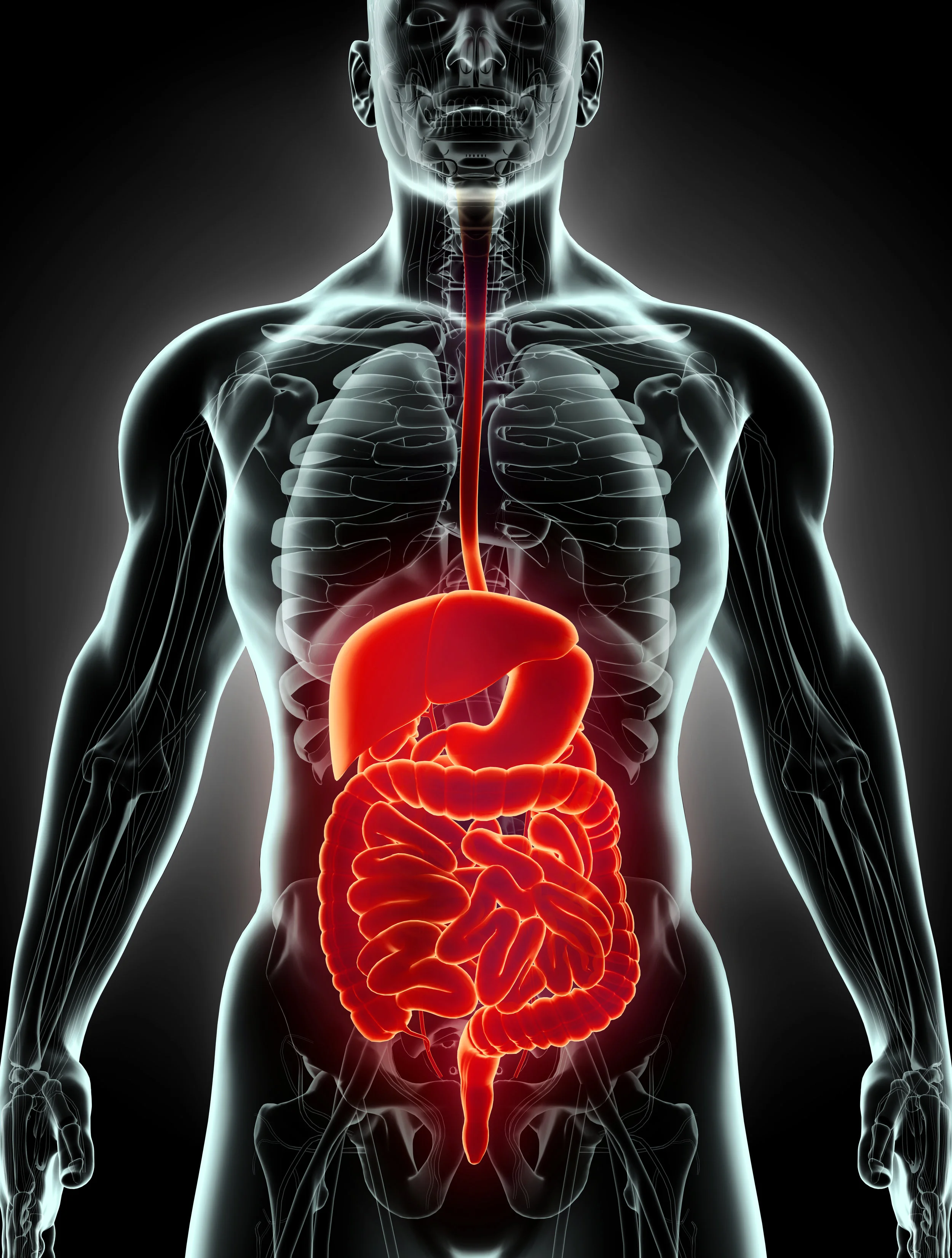 Exploring esophageal cancer