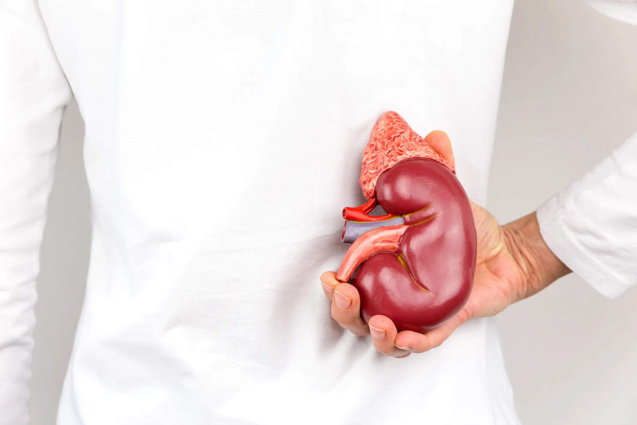 Living well with only one kidney