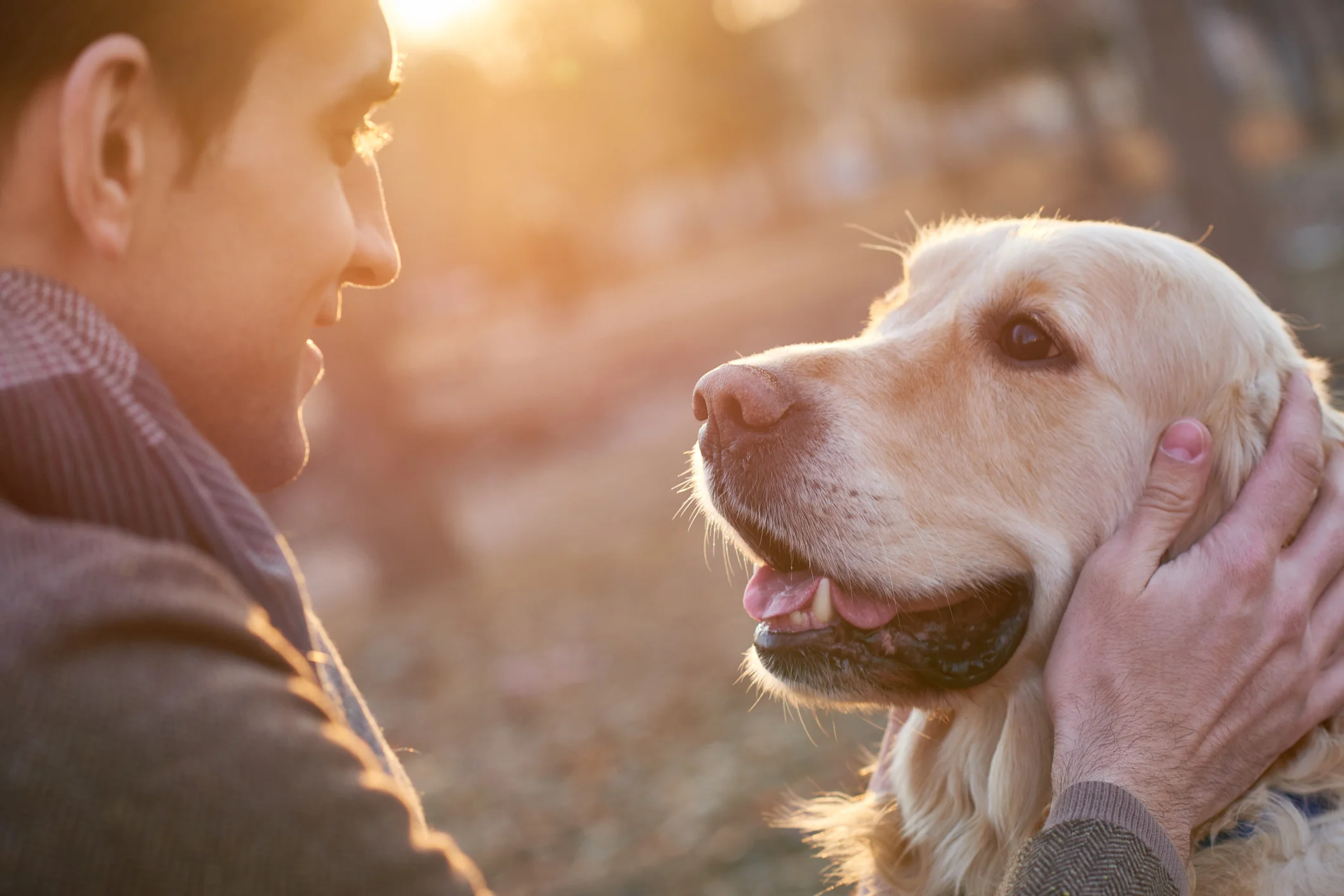 Unleash the Dogs: Sniffing for Prostate Cancer
