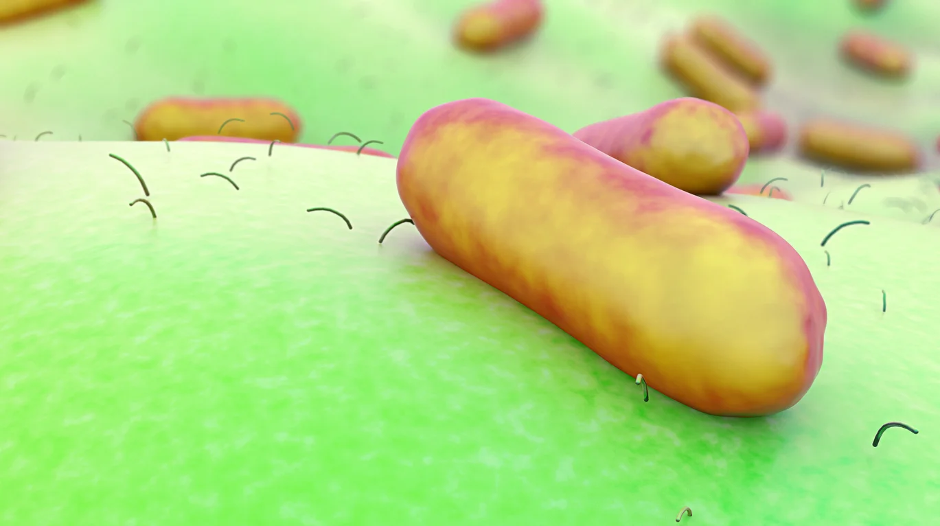 Understanding urinary incontinence