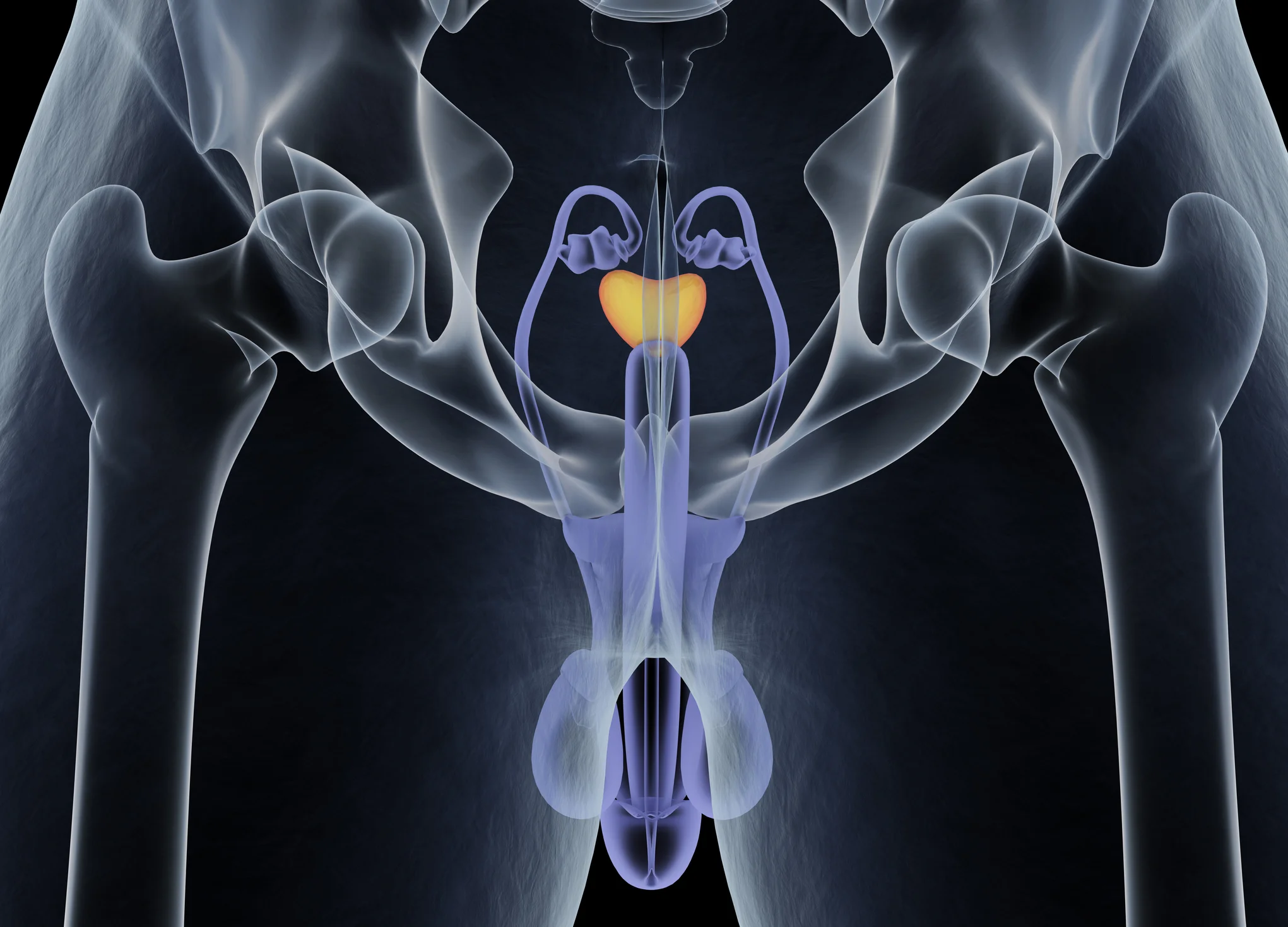 Misconceptions about prostate cancer not to believe