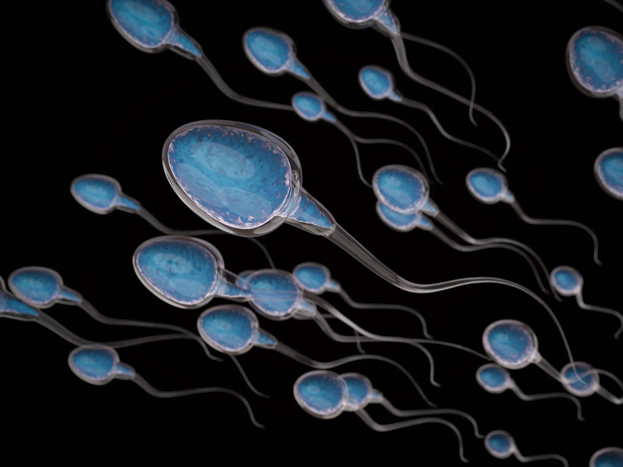 Saving Sperm Cells 'For Later'