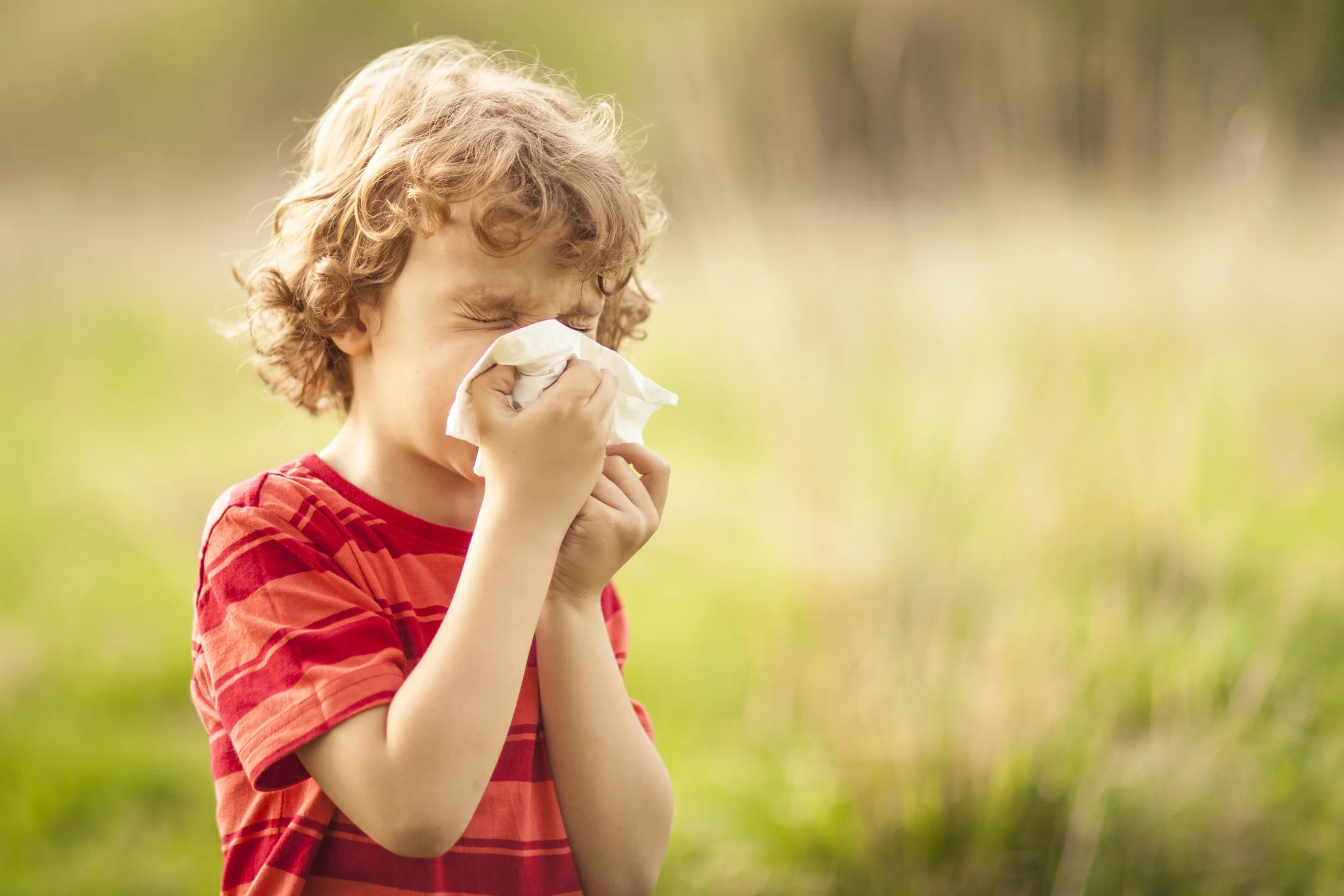 Fight springtime allergies with allergy-fighting foods
