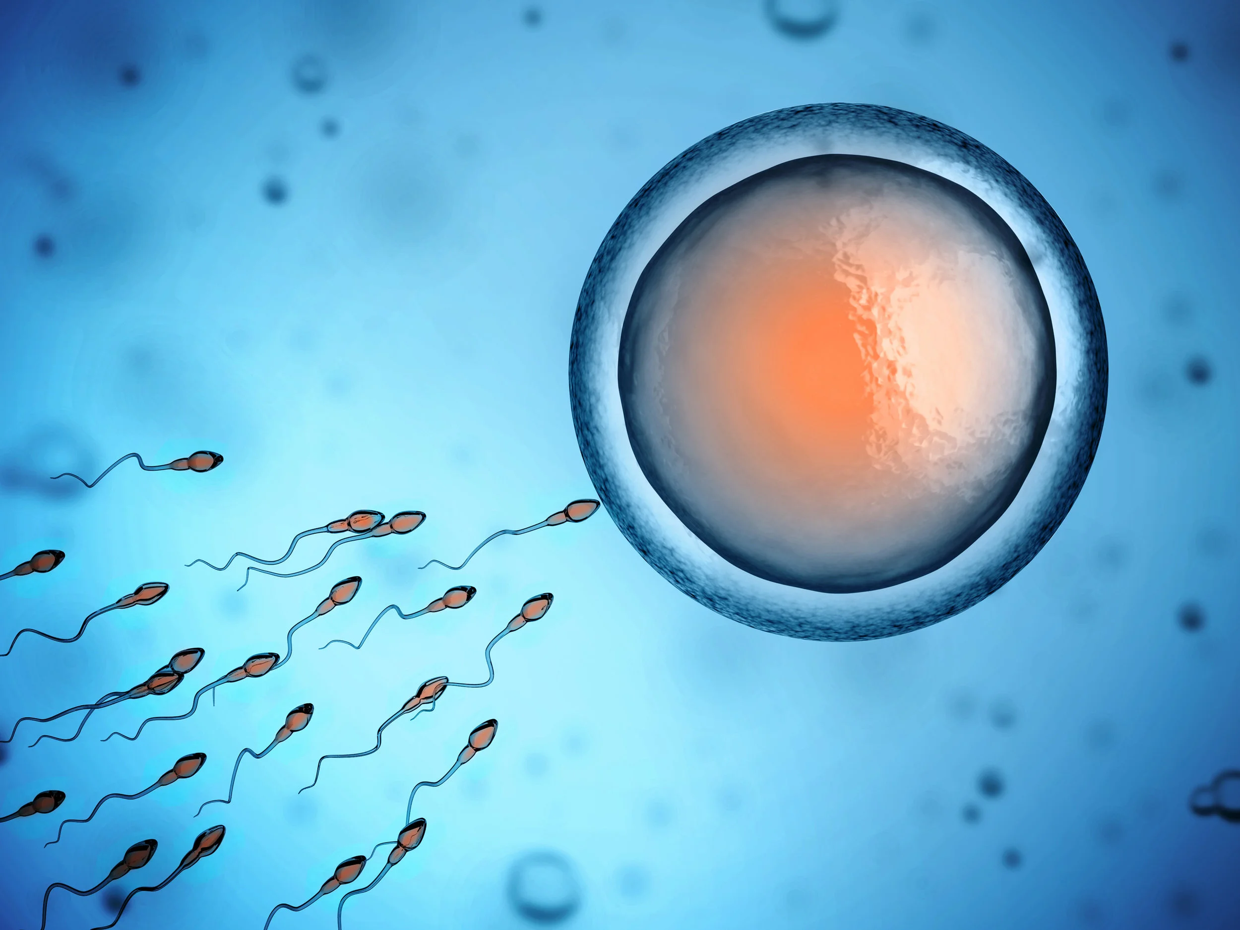 6 ways to achieve superior sperm health