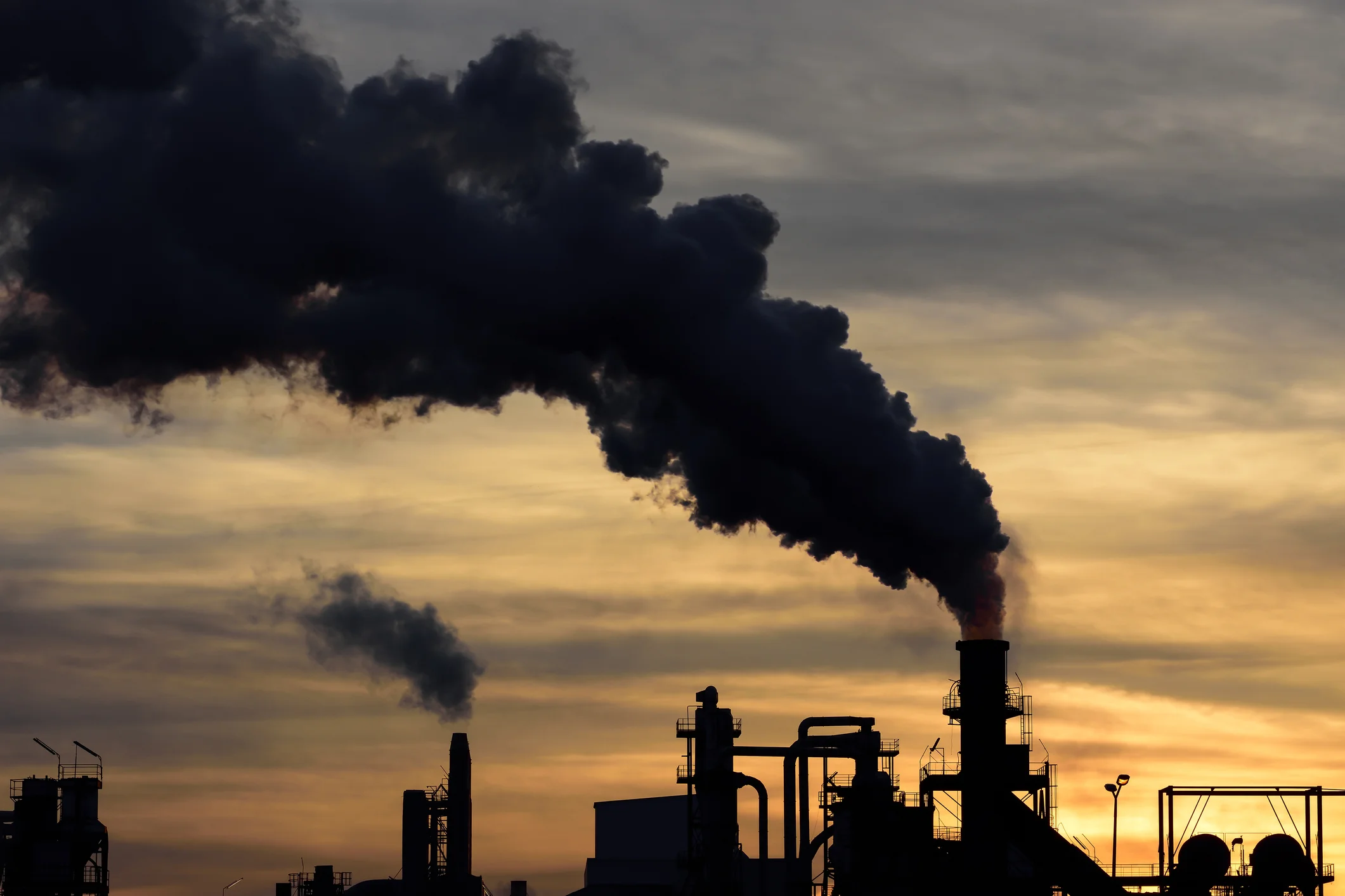Breast, prostate cancer linked to air pollution